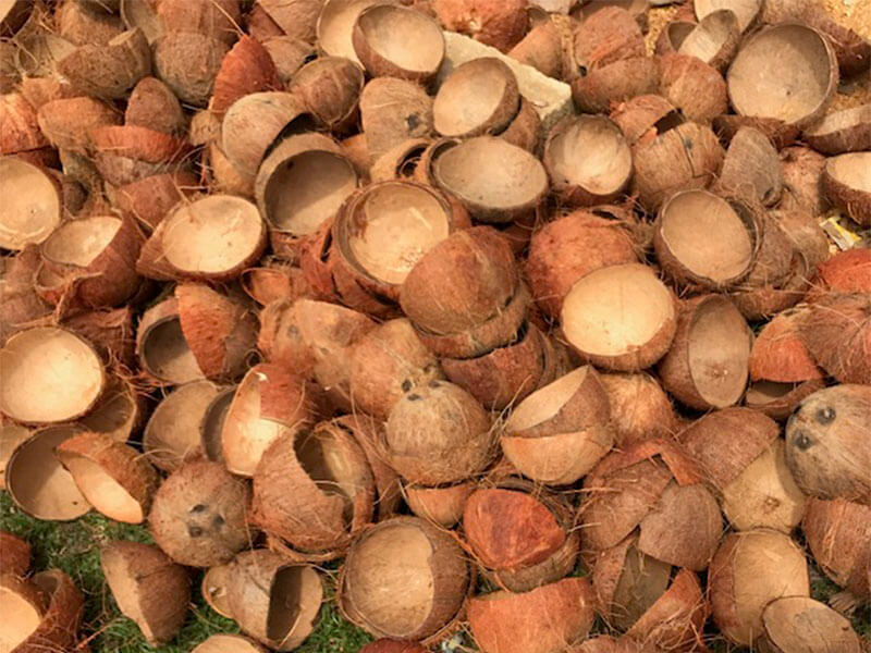 Produk ramah lingkungan dari batok kelapa