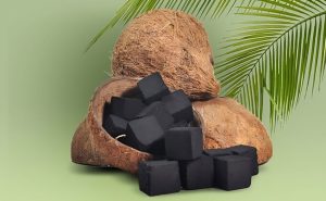 produk ramah lingkungan dari batok kelapa