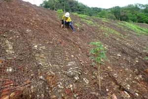 cocomesh penahan erosi