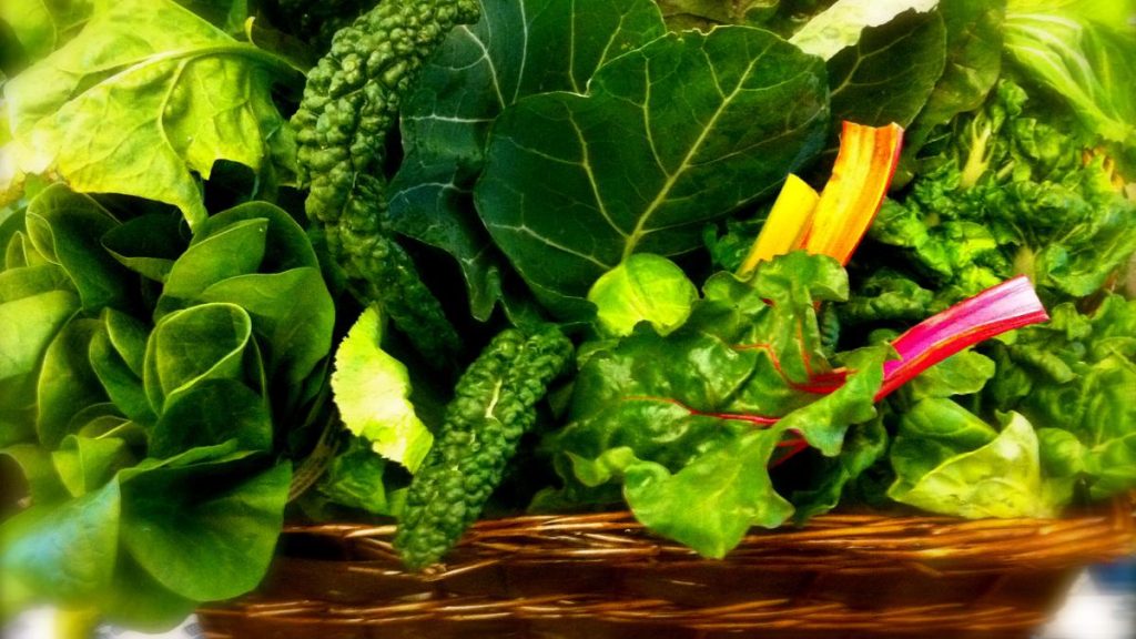 Macam Macam Sayuran Daun