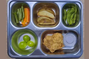 Pengembangan Menu Sesuai Standar Gizi Seimbang Profesional