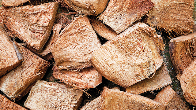 limbah sabut kelapa produktif