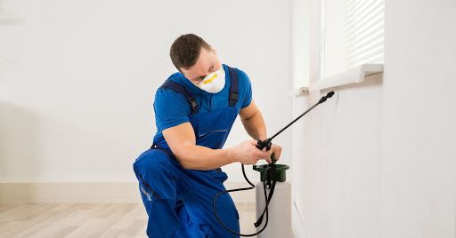 jasa anti rayap berpengalaman lebih dari 10 tahun